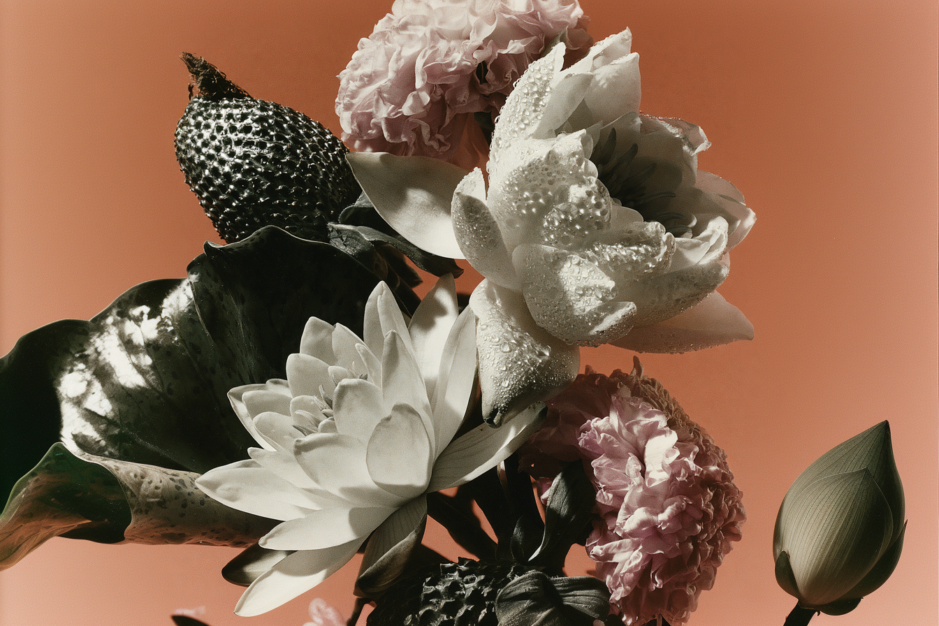 Why lotus was one of the world's first aphrodisiacs