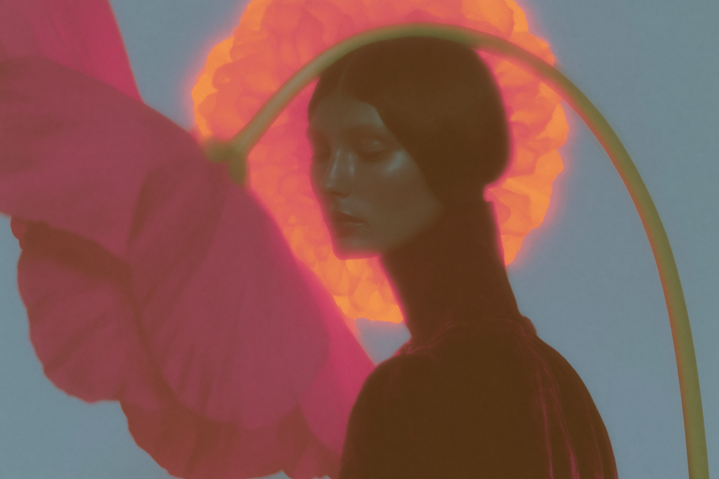 What IFRA Standards Actually Mean for Your Fragrance